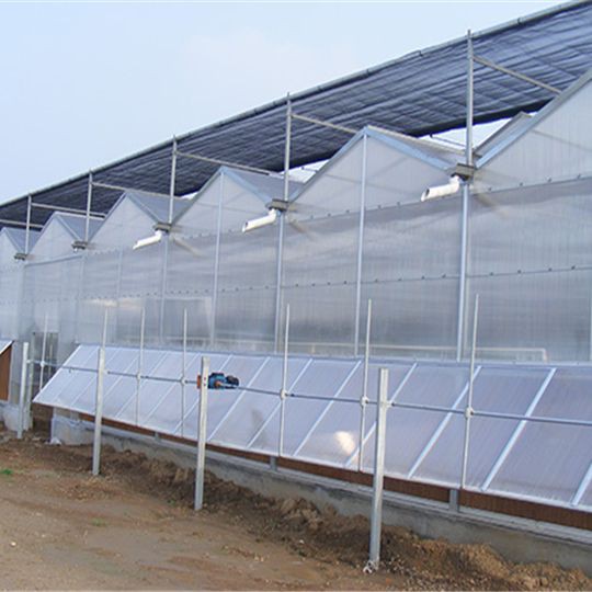 Agricultural PC Sheet Greenhouse