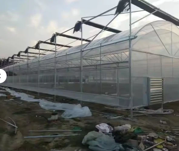 Gothic Arch Greenhouse