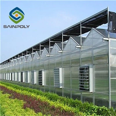 Bladgrönsaker Plantering PC Blad Växthus